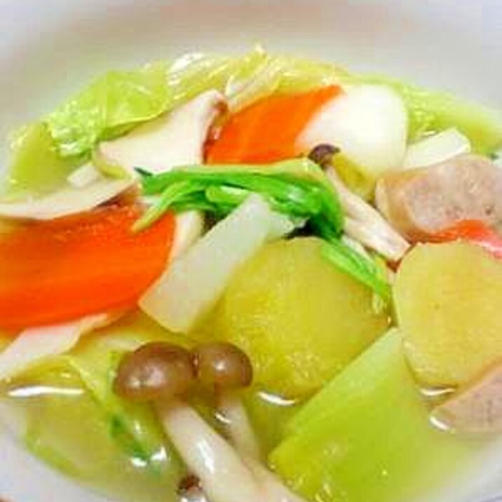 こんだけ入れば薬膳っしょ！たっぷり野菜のスープ